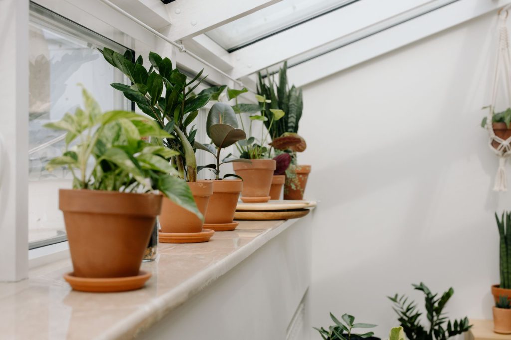 Terre cuite, zinc ou grès : quel pot choisir ?