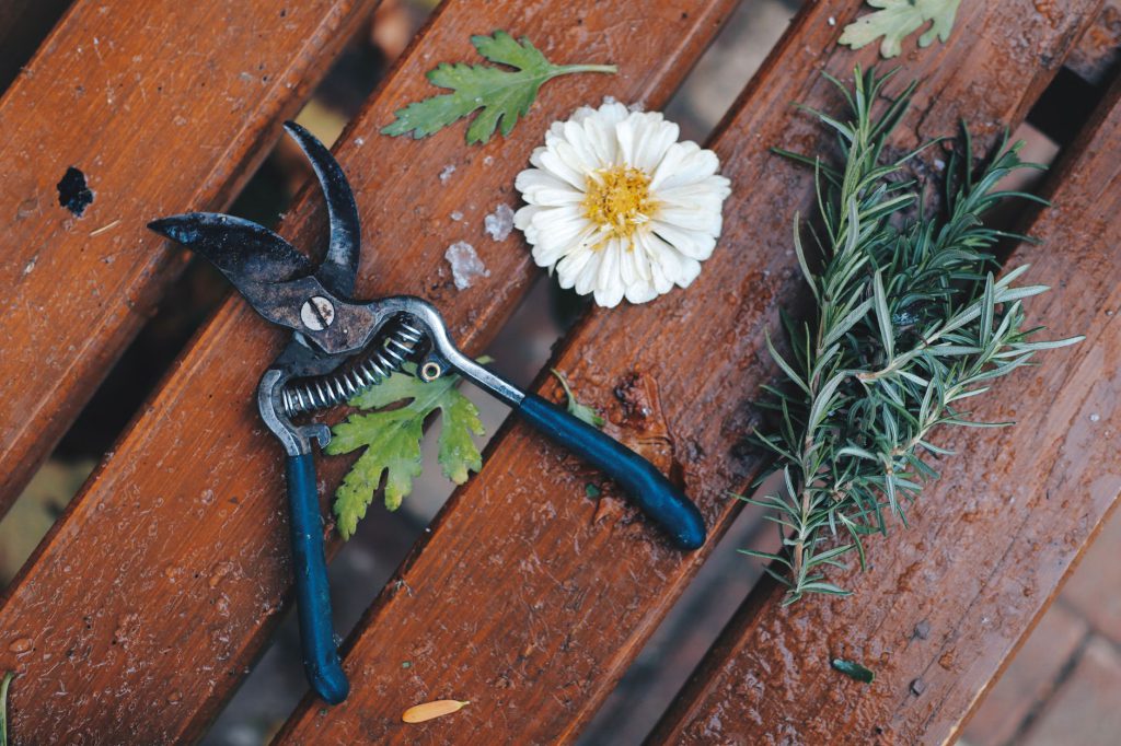 Les huit outils de jardin vraiment indispensables